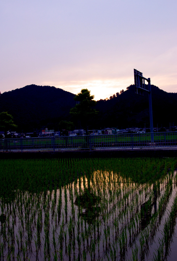 夕涼み