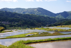 山の上の田んぼ