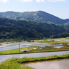 山の上の田んぼ