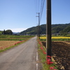 彼岸花のある風景