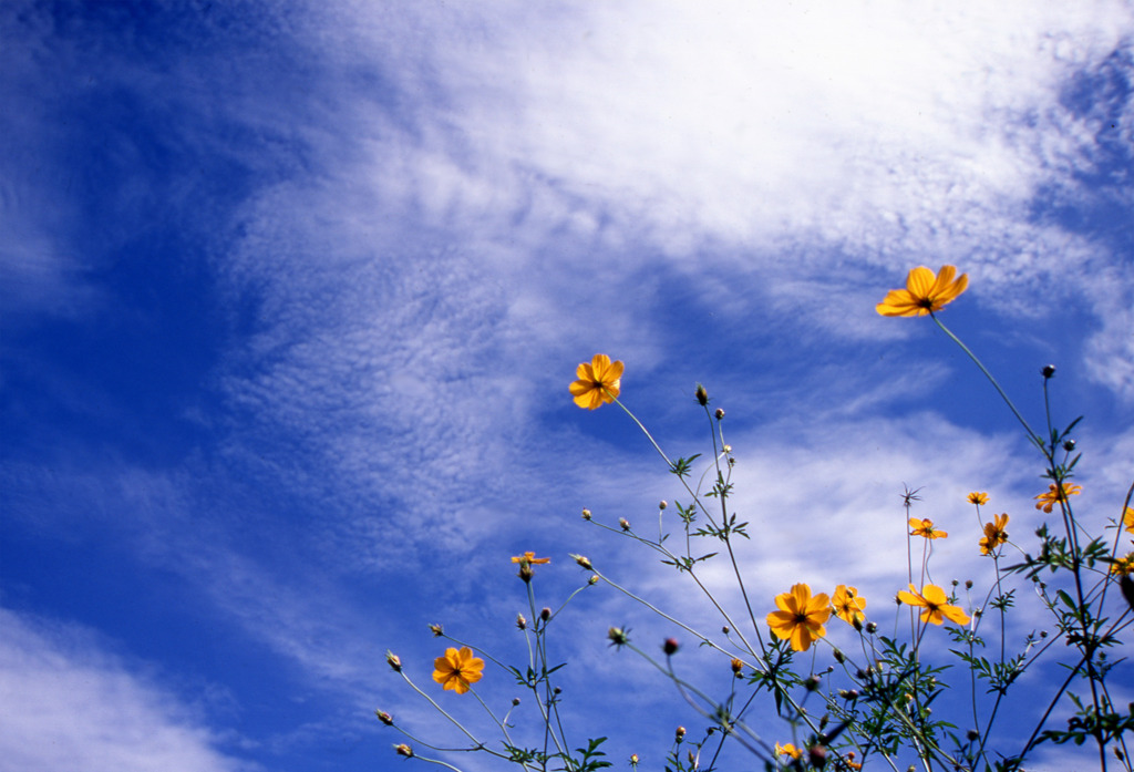 9月の空
