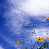 9月の空