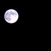 blue moon