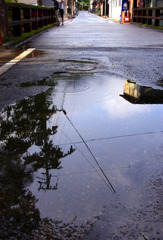 雨上がり