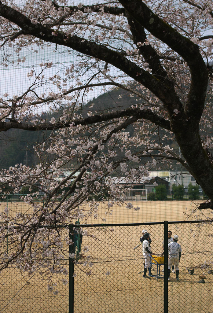 野球部