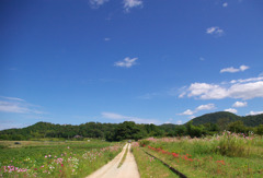 田舎道
