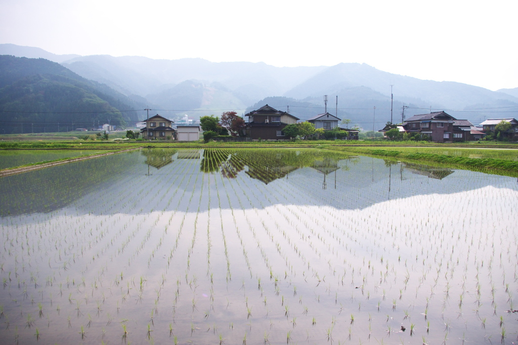 水鏡