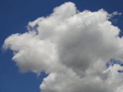 雲