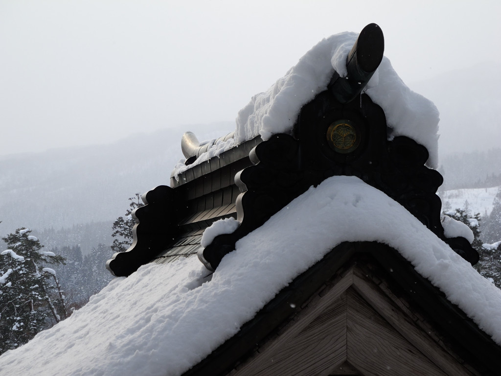 冠雪の日に