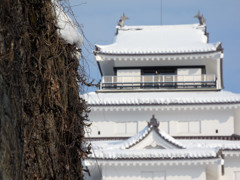 枯れ蔦の石垣と