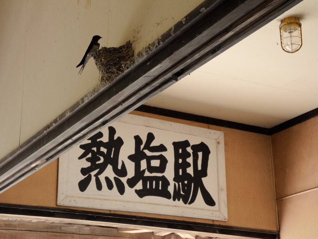 廃線の駅にて_04