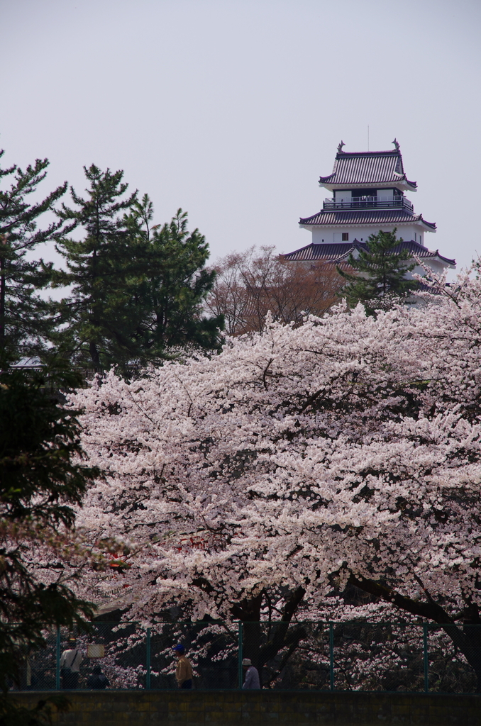 城下町の春