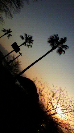 2010032606330000