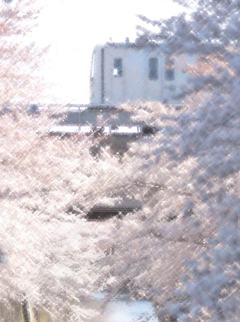 満開の神田川を