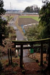 岡本付近にて