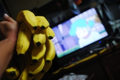 家バナナ