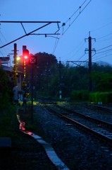 霧雨