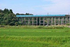 今日も・・・