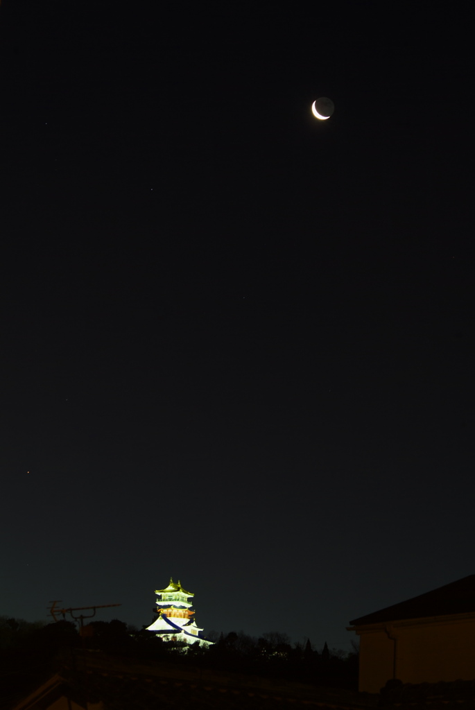 DSCF2208