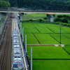 日本の"現"風景