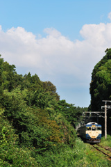 夏来る