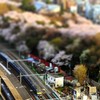 DSC_2641-TiltShift