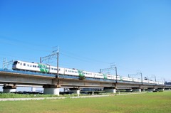 ストライプ