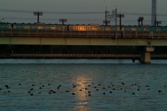 DSCF0157