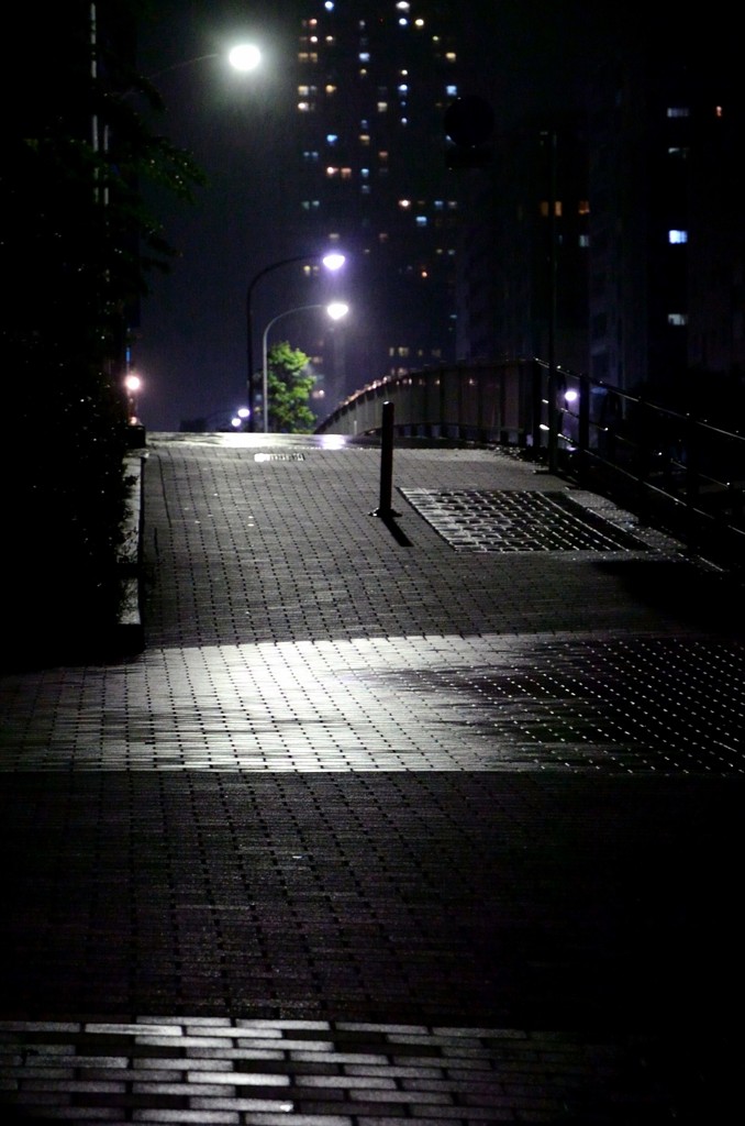 お家に帰ろう