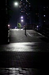 お家に帰ろう