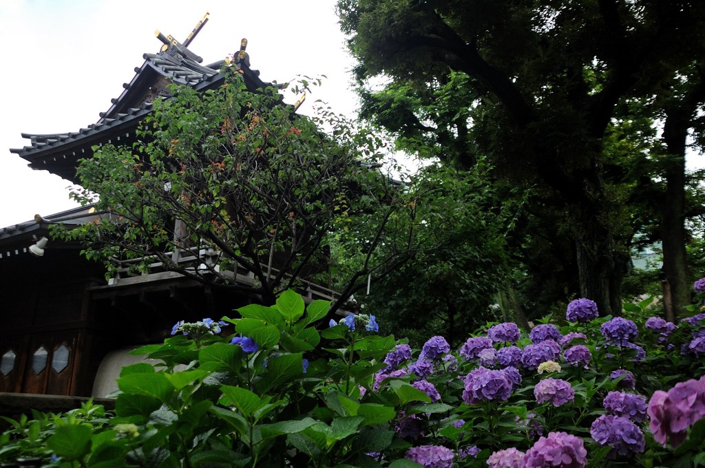 白山神社