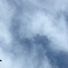 東京を発つ(空)