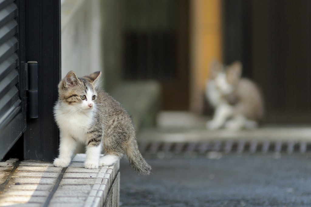 にゃっ