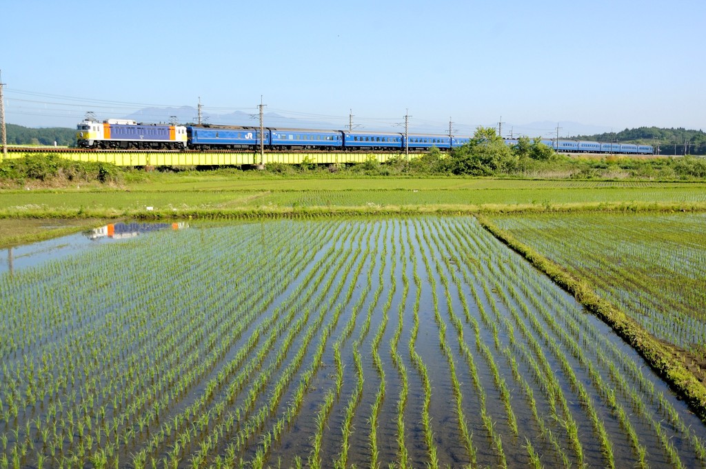 "カシ"斗星