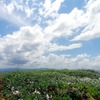 広がる草原、流れる夏の空