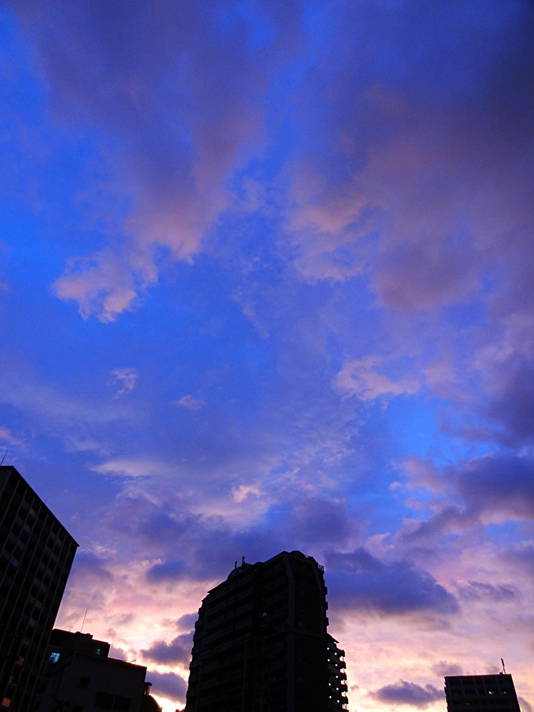 夕暮れの夏空