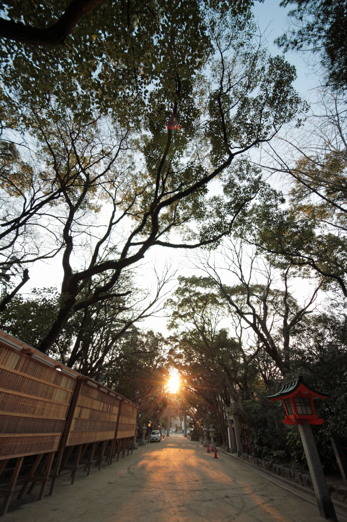 住吉神社、参拝の帰り