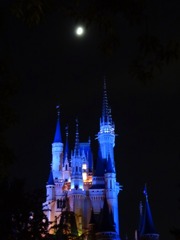 ディズニー、月の光を浴びるシンデレラ城