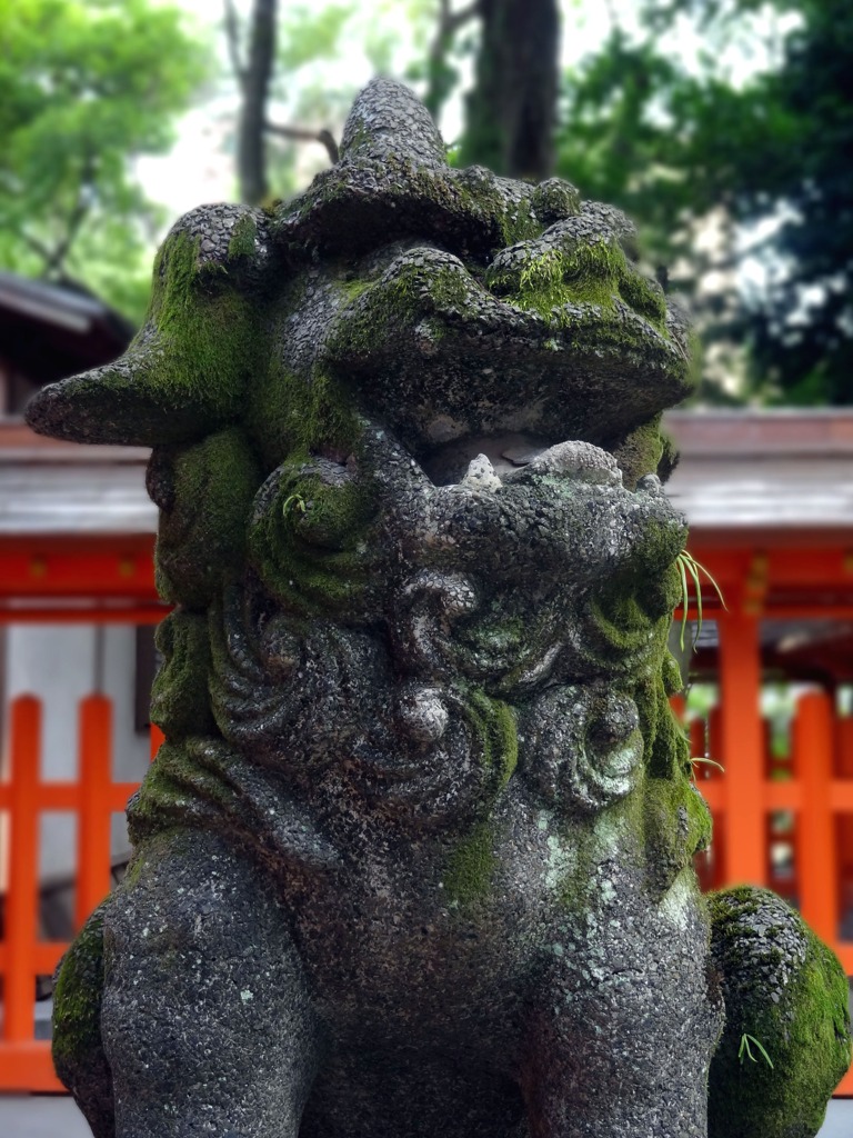 ( °Д°)ｷﾘｯ
