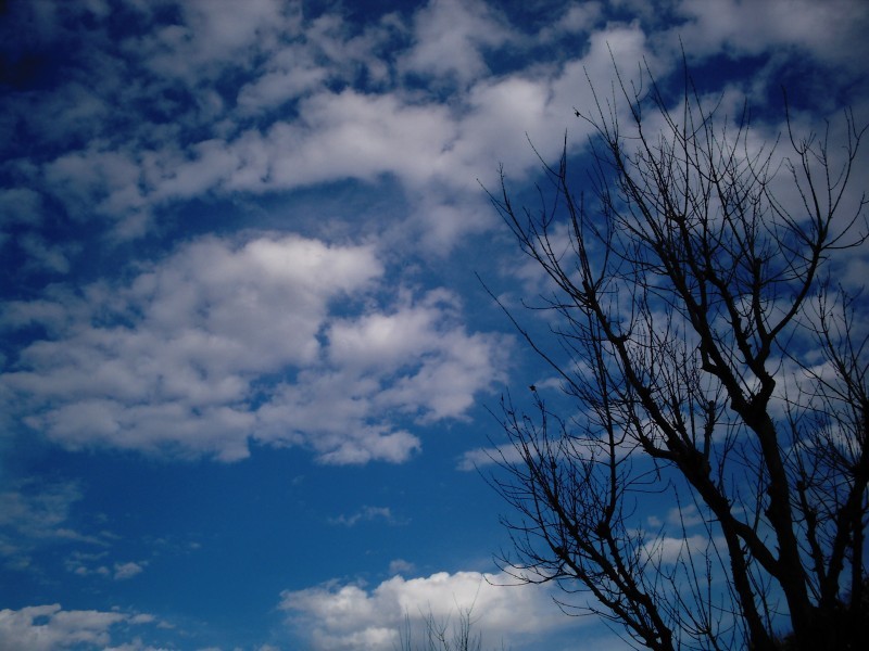 春の空