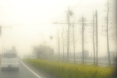 雨の日の出勤