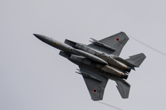 JASDF 303rd Tactical Fighter Squadron