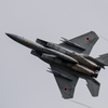 JASDF 303rd Tactical Fighter Squadron