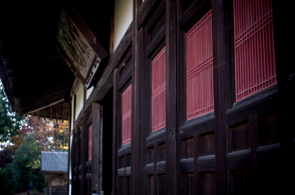 浄住寺　K_5_9434