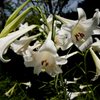 DSCF0477_1