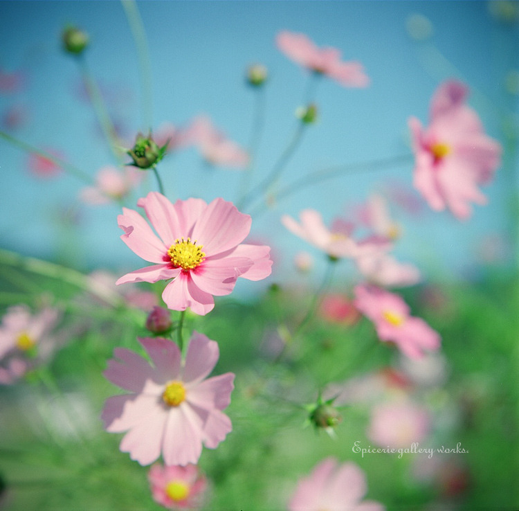 MA_091004_ohara_FU160_24