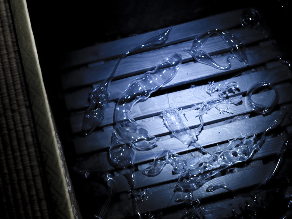 026-D30_1896