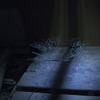 033-D30_1907