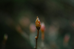 DP3M0495