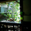MA_090906_SewingTableCafe_KOPO400_12
